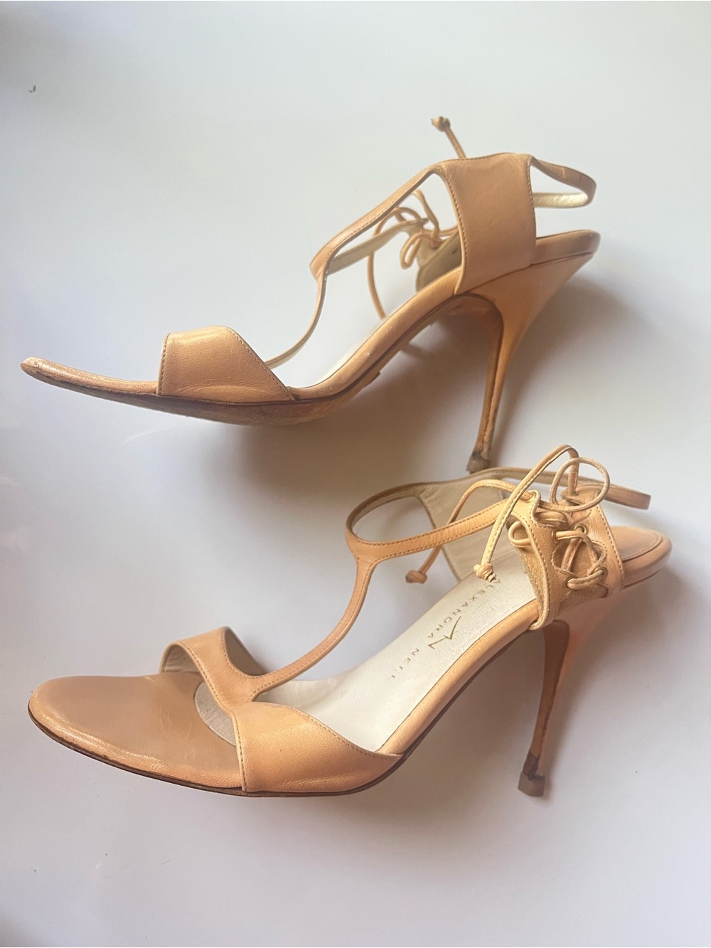 Alexandra Neel Women's Lace-Up Heeled Sandals in Nude